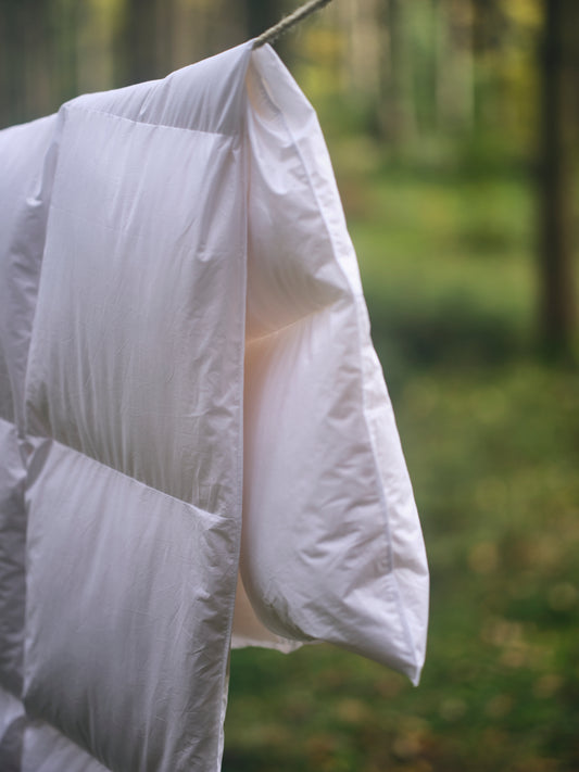 Daunen Bettdecke Ganzjahr