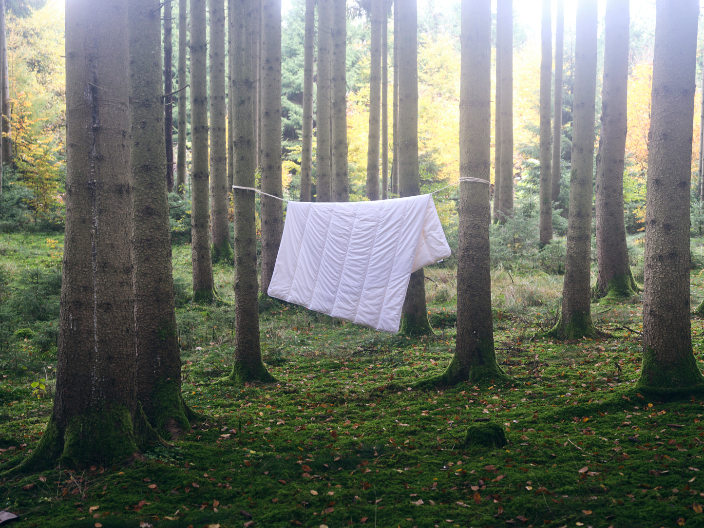 Merino Bettdecke Ganzjahr